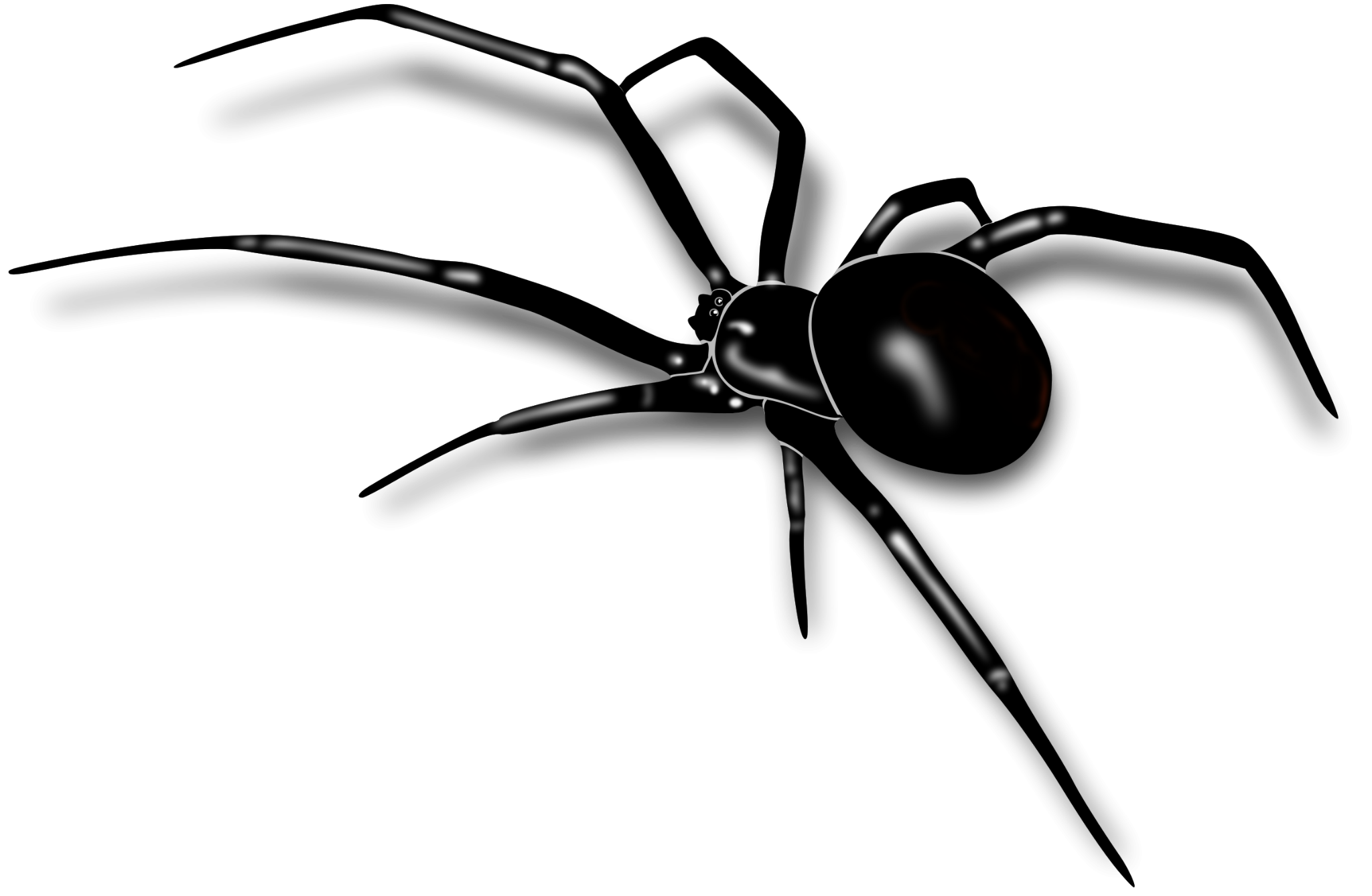 Residential pest control